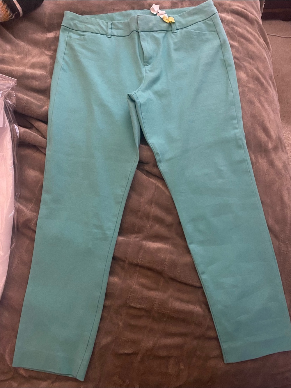 Old Navy Women’s Pixie Pants in Teal